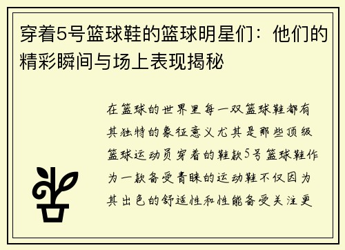 穿着5号篮球鞋的篮球明星们：他们的精彩瞬间与场上表现揭秘